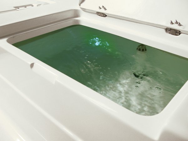 Rear Livewell Glass fibers either loose or woven, reinforced with resin and used in the construction of many boats.